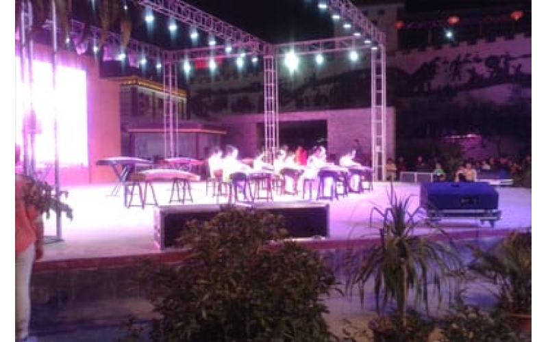 律動青春 放飛夢想 敦煌陳思思古箏藝?！坝瓏鴳c”專場文藝演出